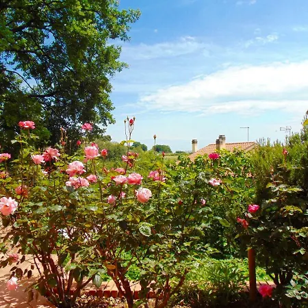 S204 - Sirolo, Trilocale Con Ampio Terrazzo Vista Mare Διαμέρισμα